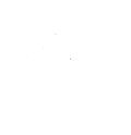 Coed Y Ddraig