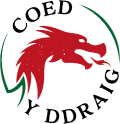 Coed Y Ddraig